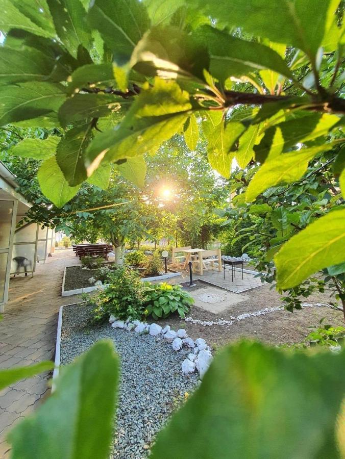 Hotel Decebal エフォリエ・ノルド エクステリア 写真